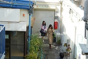 「ミッドナイトスワン」