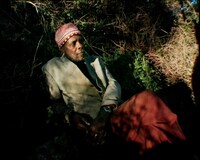 「タラファル」