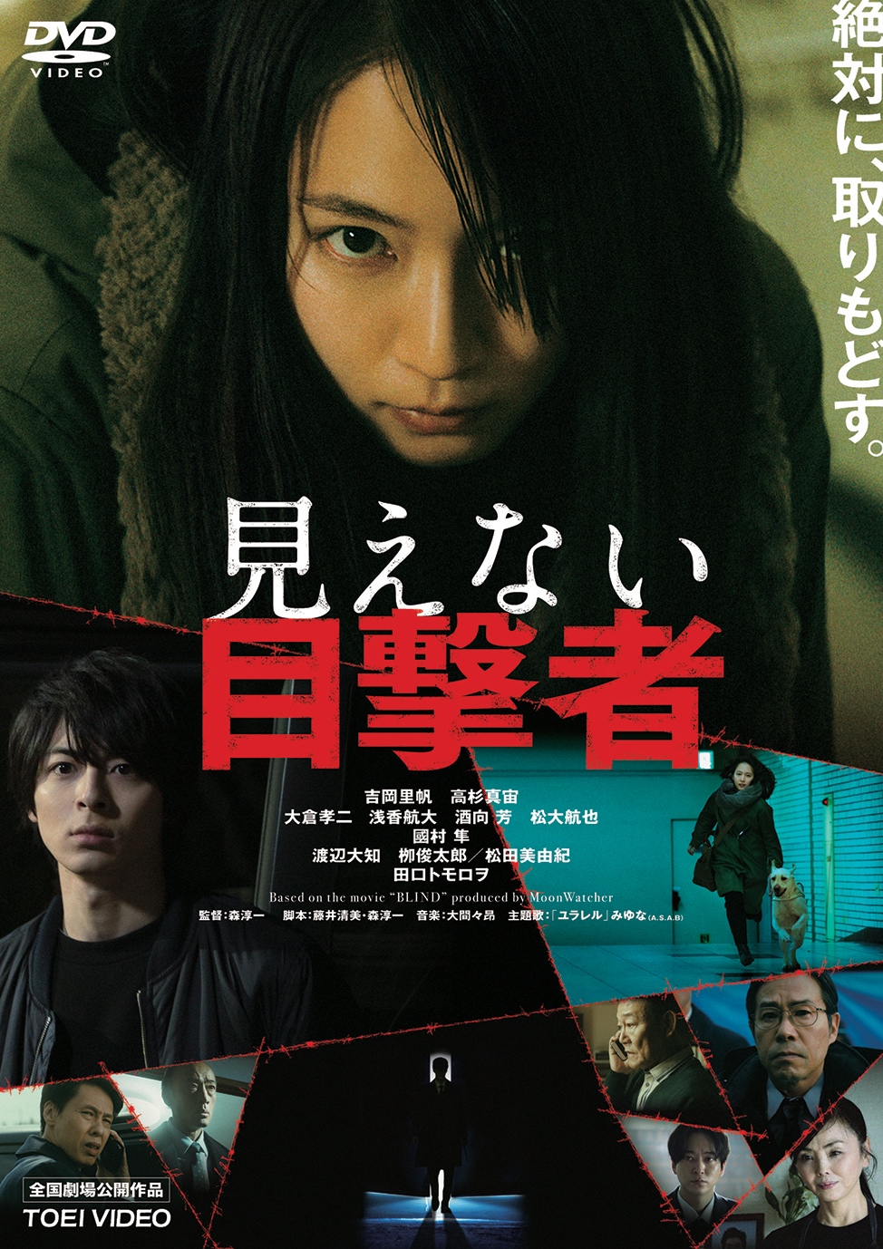 「見えない目撃者」DVDジャケット (c)2019「見えない目撃者」フィルムパートナーズ (c)MoonWatcher and N.E.W.