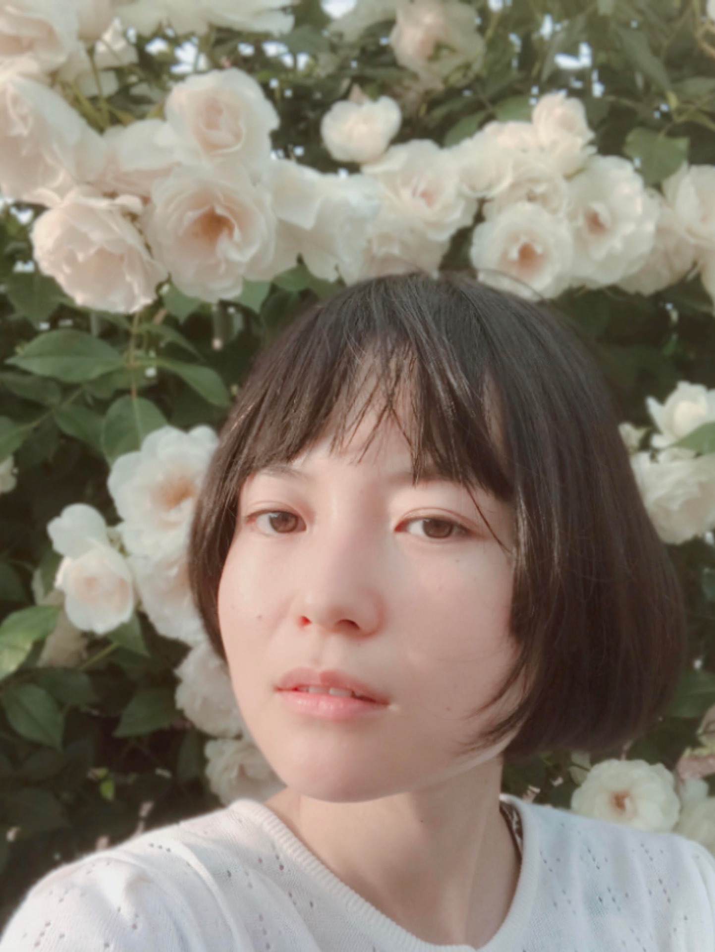 白波多カミン