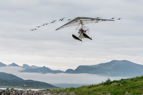 「グランド・ジャーニー」