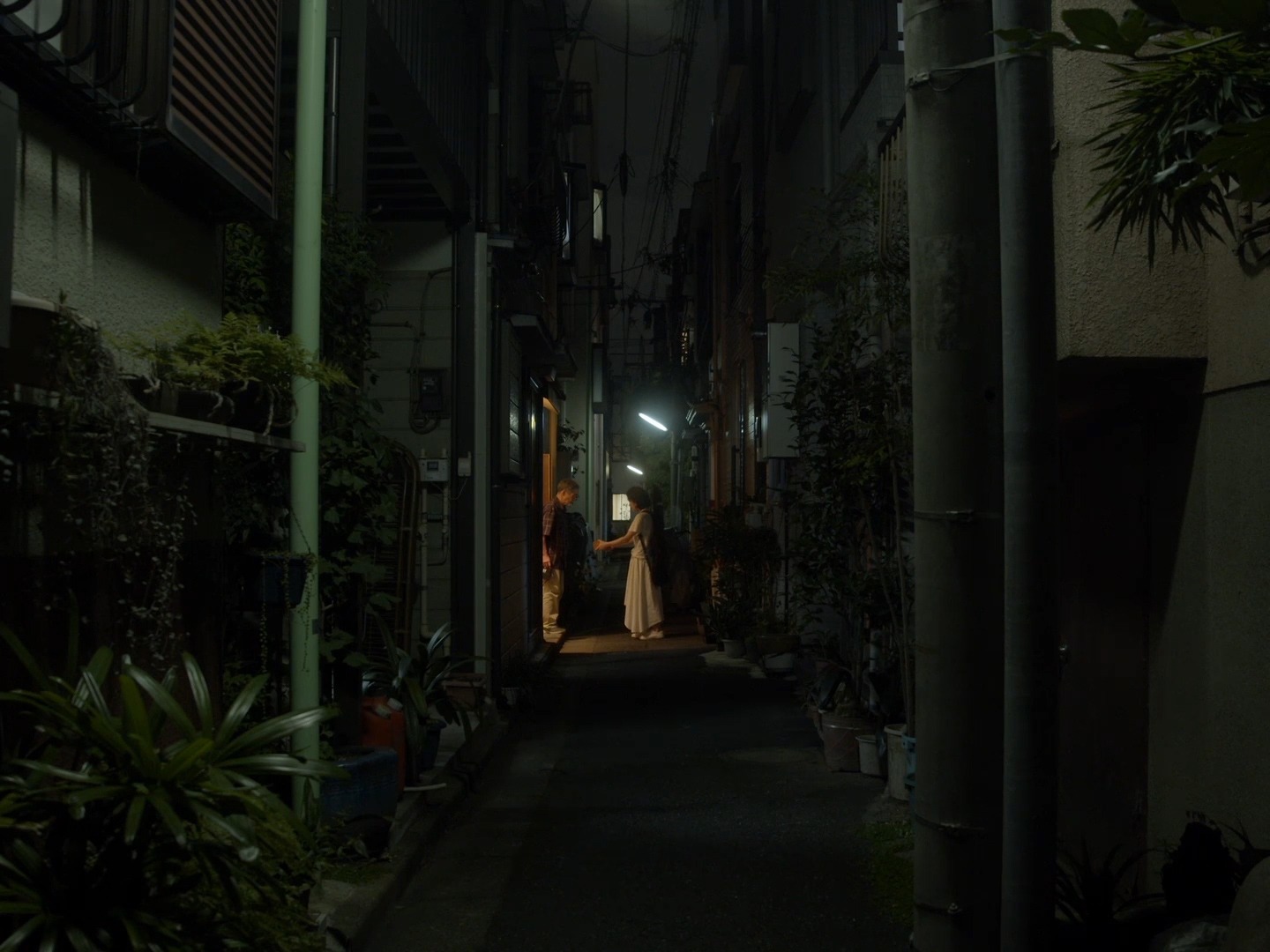「眠る虫」