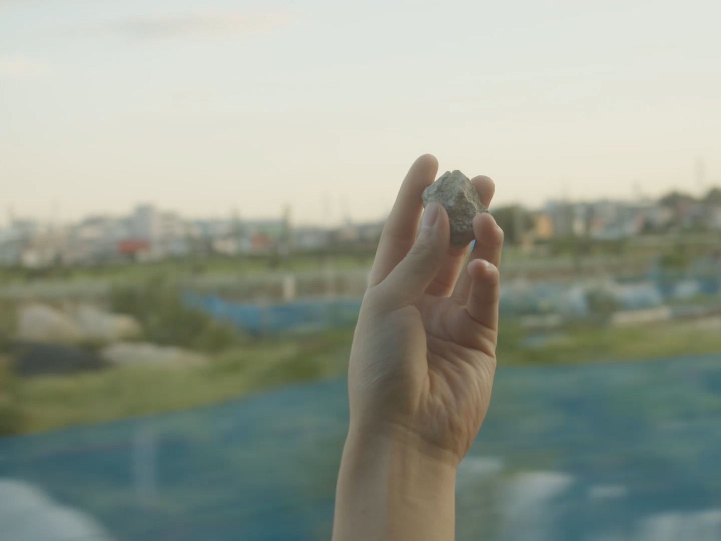 「眠る虫」