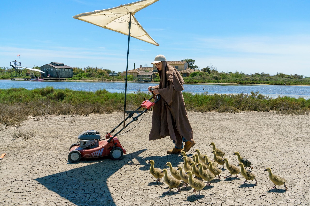 ふわふわのひな鳥たちがトコトコ、「グランド・ジャーニー」新映像を公開