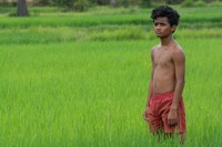 「ボヤンシー 眼差しの向こうに」