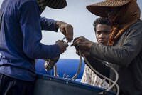 「ボヤンシー 眼差しの向こうに」