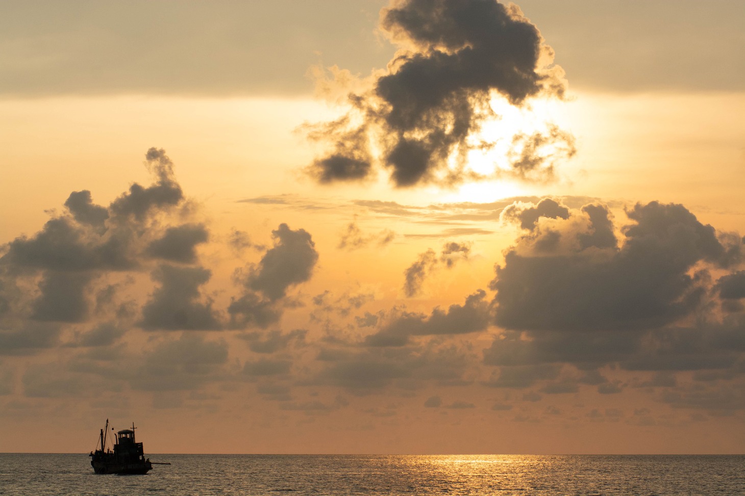 「ボヤンシー 眼差しの向こうに」