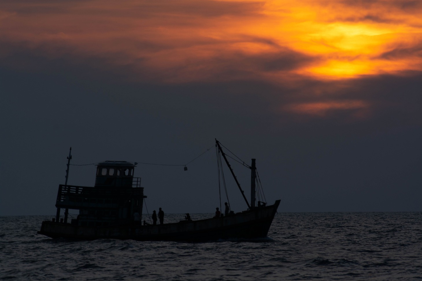 「ボヤンシー 眼差しの向こうに」