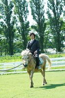 上川隆也と馬。