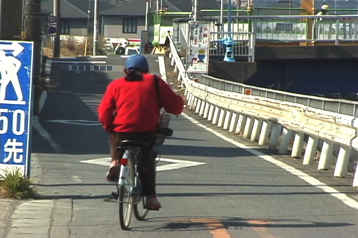 「カメラになった男／写真家 中平卓馬」
