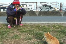 「カメラになった男／写真家 中平卓馬」