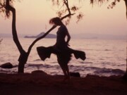 「幸せな人生からの拾遺集」