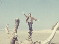 「幸せな人生からの拾遺集」