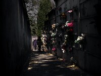 「ヴィタリナ」新場面写真