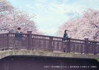 「君の膵臓をたべたい」ビジュアル