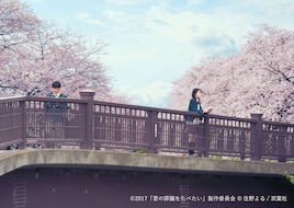 浜辺美波×北村匠海「君の膵臓をたべたい」が金曜ロードSHOW!で放送