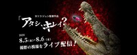「アタシ、キレイ？」ビジュアル
