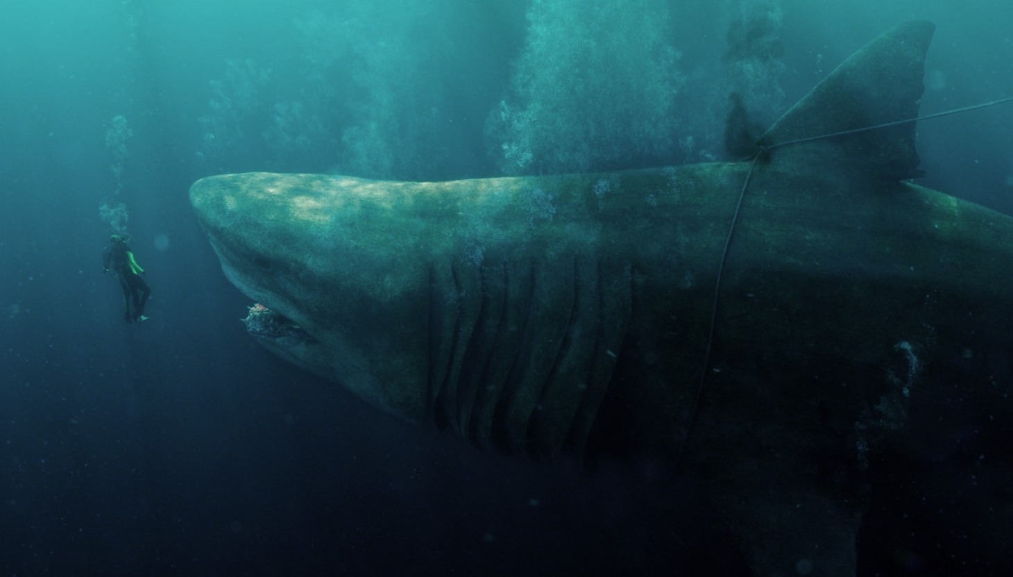「MEG ザ・モンスター」