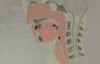 「声が出てきた人」