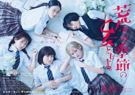 「荒ぶる季節の乙女どもよ。」ポスタービジュアル