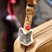 ニック ホームメイド キャロットケーキ バッグチャーム（税込9900円）