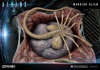 「プレミアムマスターライン エイリアン ダークホースコミックス ウォーリアーエイリアン」