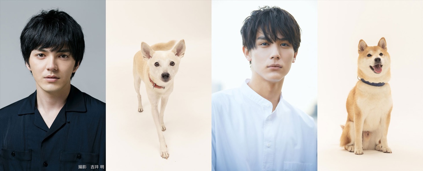 左から花井颯太役の林遣都、花子役のちえ、柴崎涼介役の中川大志、太郎役のきぃ。