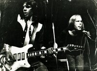 「レディオ・バードマン／ディセント・イントゥ・メールストロム」