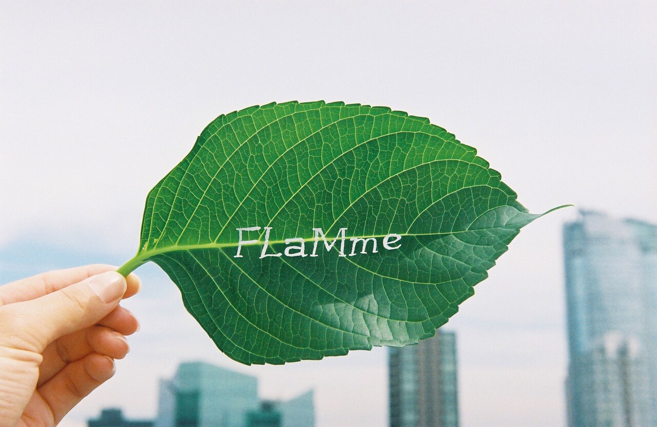 フラームのロゴ。