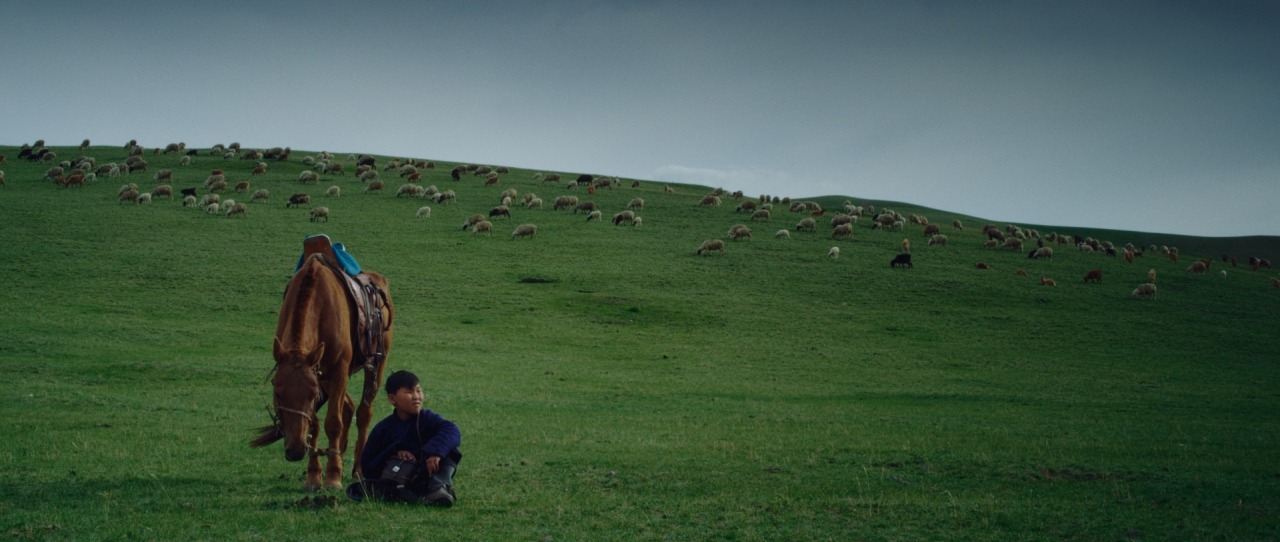 モンゴル編「Snowdrop Flower」