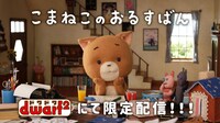 「こまねこのおるすばん」告知ビジュアル