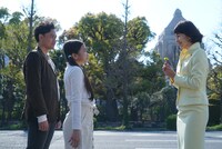 「お花のセンセイ」