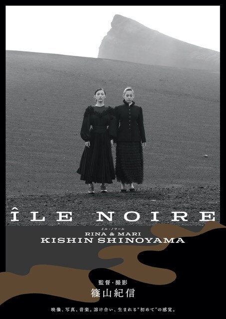 フィルムノワール名作集 DVD 4本セット 解説冊子あり 監督別
