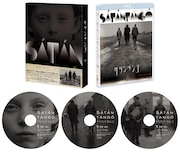 「サタンタンゴ」Blu-ray 展開図