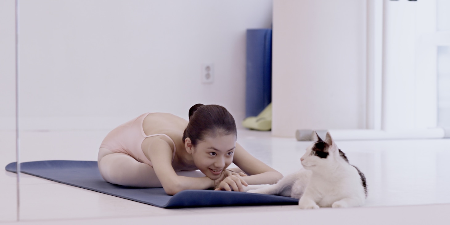 「私と猫のサランヘヨ」 (c)2019.The Writers ALL RIGHTS RESERVED