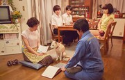 「さくら」北村匠海、小松菜奈、吉沢亮らの新写真、愛犬のソロカットも到着