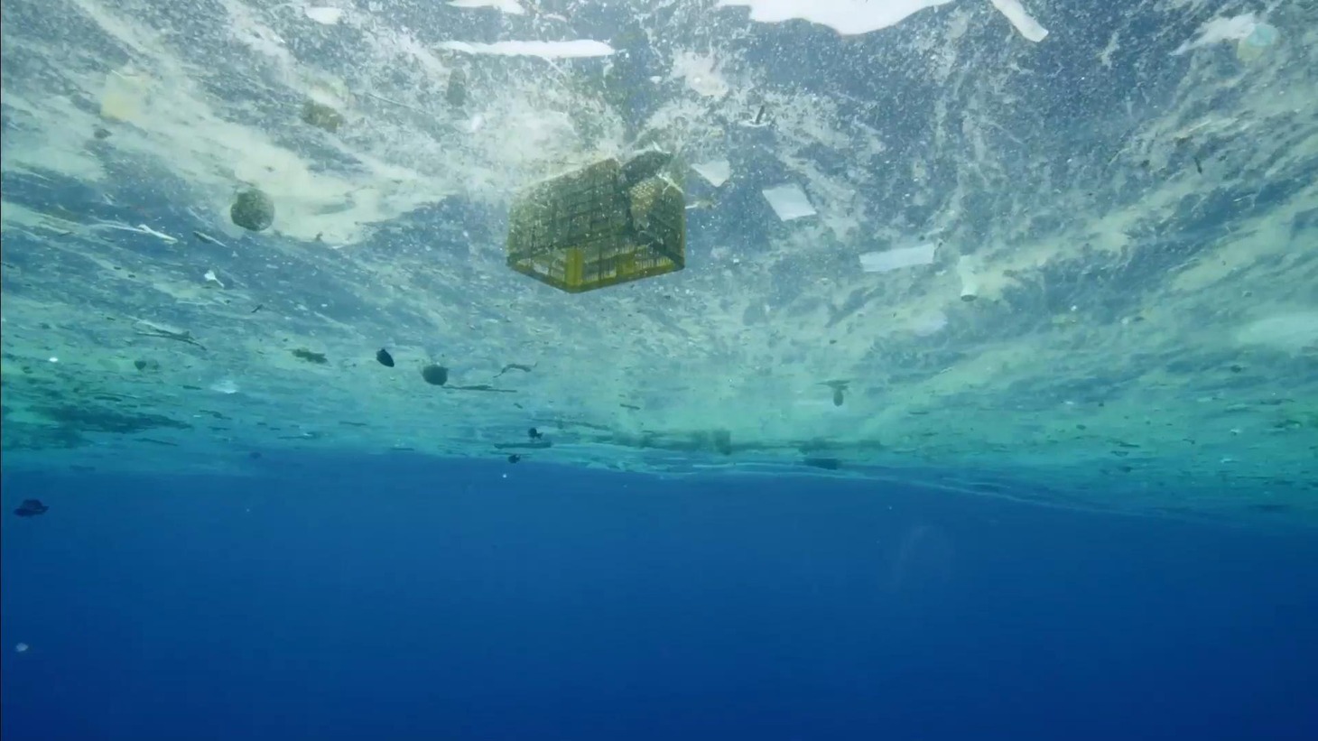 「プラスチックの海」