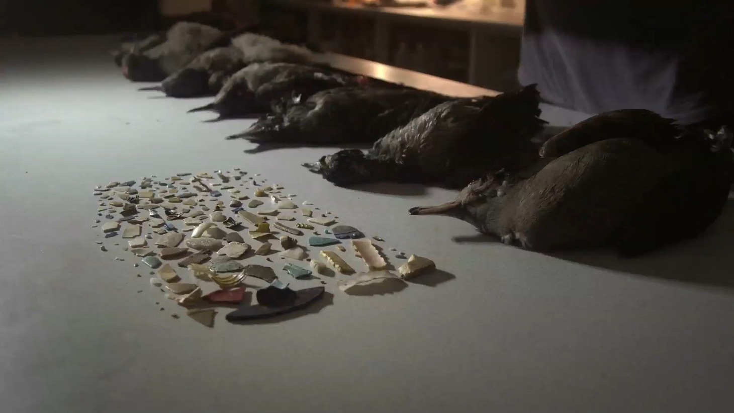「プラスチックの海」