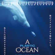 世界中を調査、海洋汚染の実態追うドキュメンタリー「プラスチックの海」公開