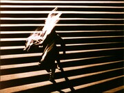 「天使／L'ANGE」