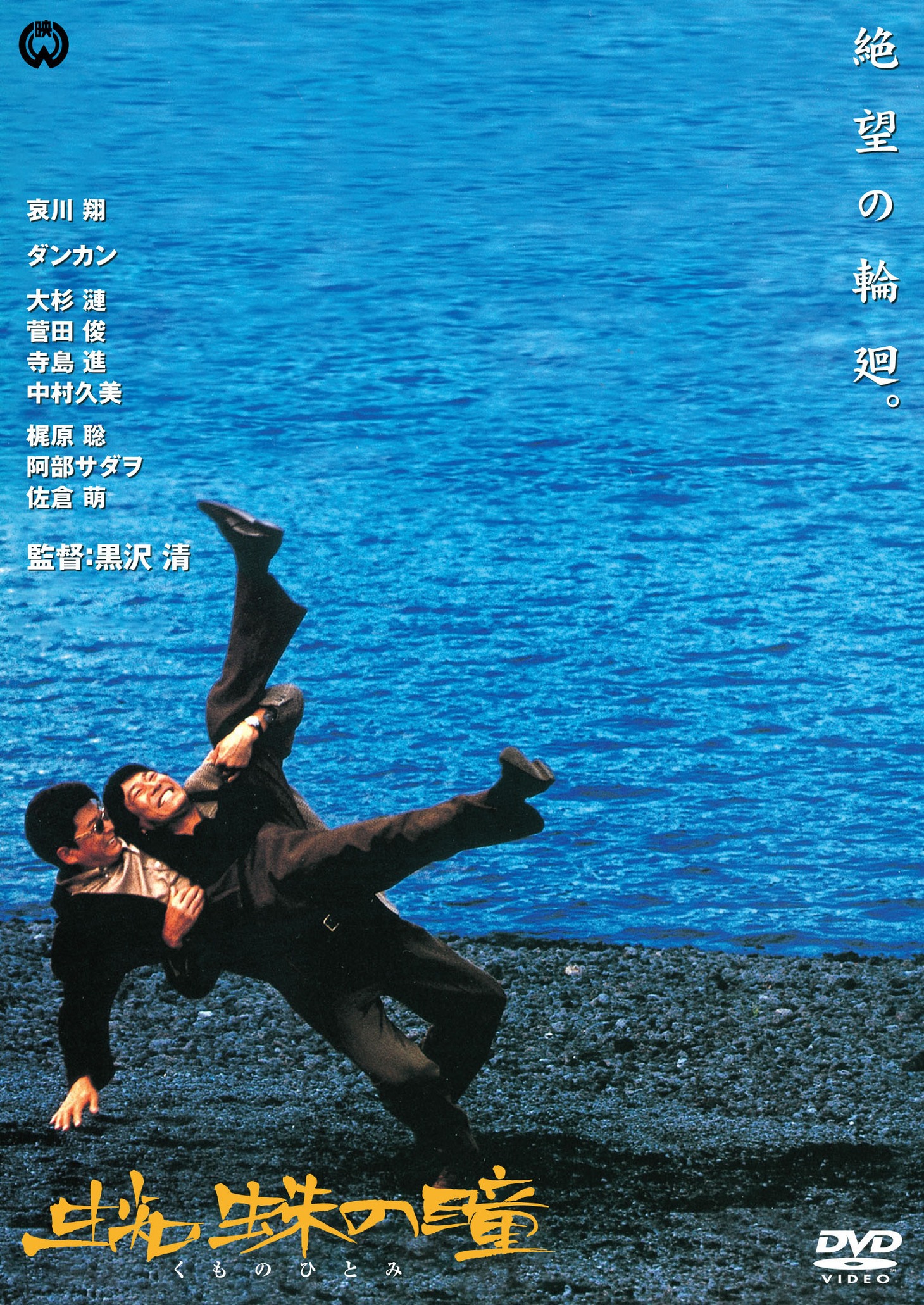 「蜘蛛の瞳」DVDジャケット (c)KADOKAWA 1998