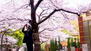 「過去はいつも新しく、未来はつねに懐かしい 写真家 森山大道」