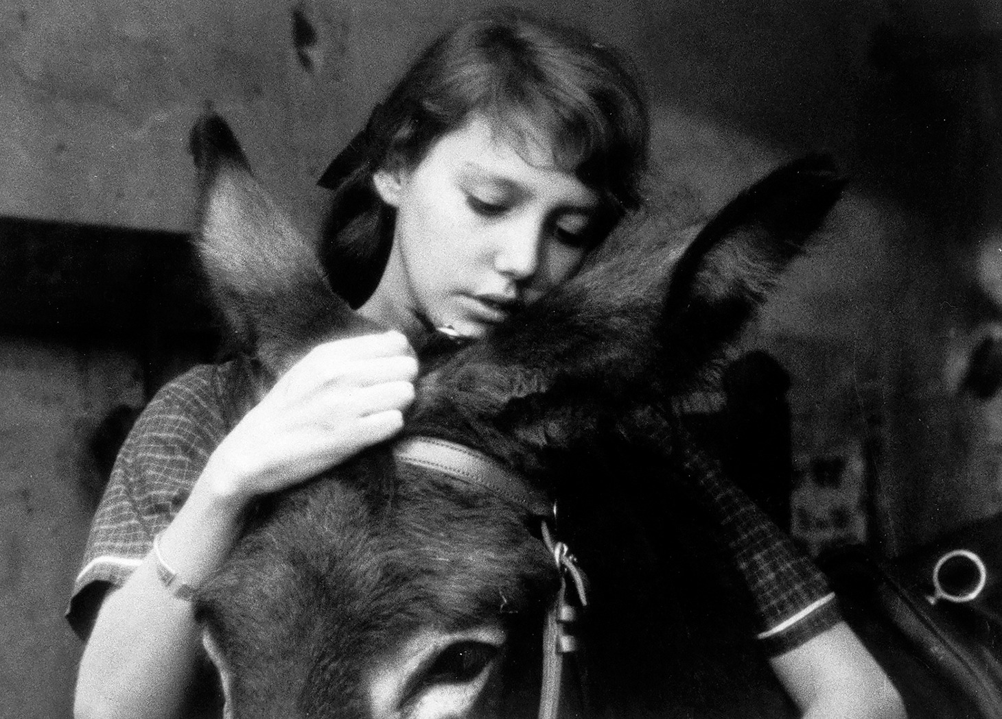 「バルタザールどこへ行く」 (c)1966 Argos Films -Parc Films -Athos Films -Svensk Filmindustri