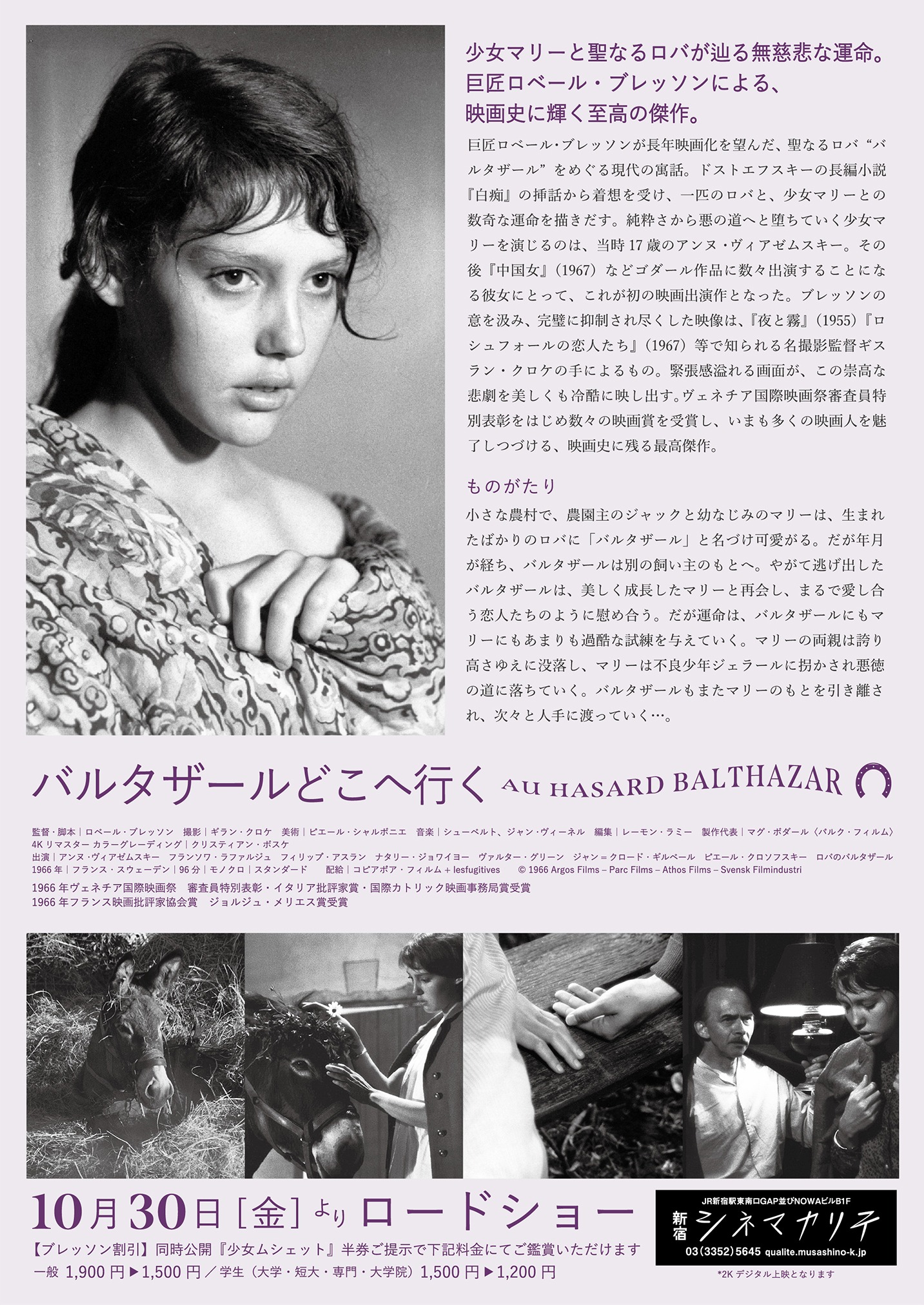 「バルタザールどこへ行く」フライヤー裏面  (c)1966 Argos Films -Parc Films -Athos Films -Svensk Filmindustri