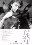 「バルタザールどこへ行く」ポスタービジュアル  (c)1966 Argos Films -Parc Films -Athos Films -Svensk Filmindustri