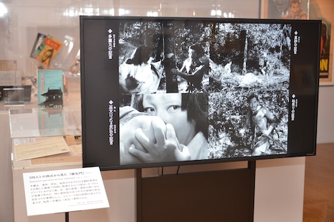 「公開70周年記念 映画『羅生門』展」より。