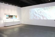 「海獣の子供」展示の様子。