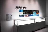 「海獣の子供」展示の様子。