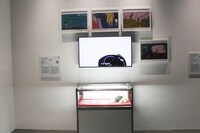 「浴場の象」展示の様子。