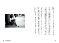 「映画演出・個人的研究課題」中面